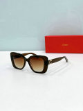 Cartier Sunglasses AAA (1328)