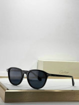 Cartier Sunglasses AAA (116) Cartier Sunglasses AAA (116)