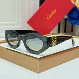 Cartier Sunglasses AAA (919)