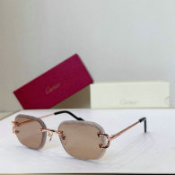 Cartier Sunglasses AAA (164)
