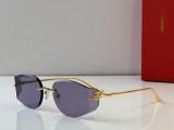 Cartier Sunglasses AAA (2754)