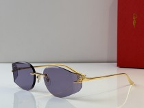 Cartier Sunglasses AAA (2754) Cartier Sunglasses AAA (2754)