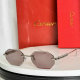 Cartier Sunglasses AAA (303)