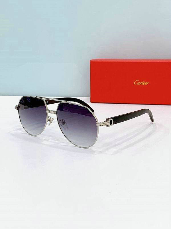 Cartier Sunglasses AAA (414)