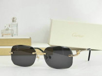 Cartier Sunglasses AAA (423) Cartier Sunglasses AAA (423)