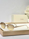 Cartier Sunglasses AAA (3125)