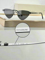 Cartier Sunglasses AAA (257) Cartier Sunglasses AAA (257)