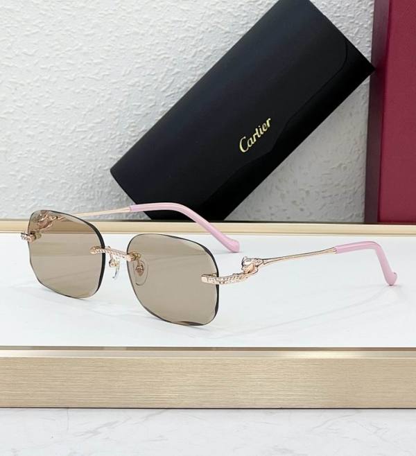 Cartier Sunglasses AAA (1928)