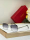 Cartier Sunglasses AAA (979)