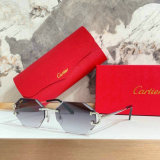 Cartier Sunglasses AAA (1246)