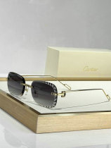 Cartier Sunglasses AAA (70) Cartier Sunglasses AAA (70)