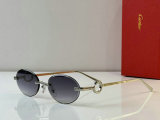 Cartier Sunglasses AAA (7)