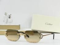Cartier Sunglasses AAA (3646)