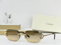 Cartier Sunglasses AAA (3646) Cartier Sunglasses AAA (3646)