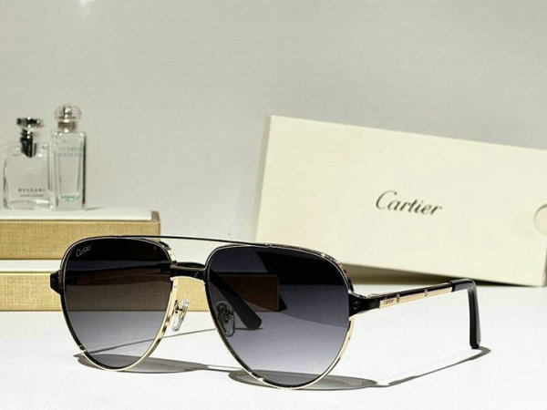 Cartier Sunglasses AAA (679)
