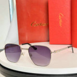 Cartier Sunglasses AAA (801)