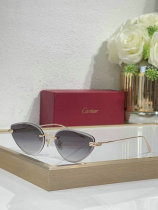 Cartier Sunglasses AAA (572) Cartier Sunglasses AAA (572)
