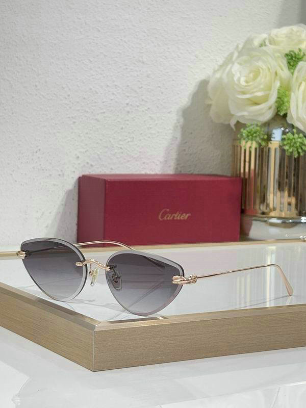 Cartier Sunglasses AAA (572)