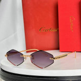 Cartier Sunglasses AAA (298)