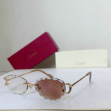 Cartier Sunglasses AAA (45)