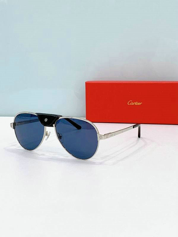 Cartier Sunglasses AAA (376)