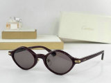 Cartier Sunglasses AAA (16)