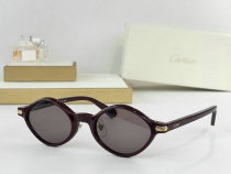 Cartier Sunglasses AAA (16)