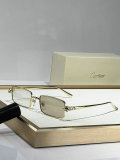 Cartier Sunglasses AAA (227)
