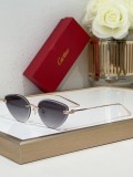 Cartier Sunglasses AAA (3004)