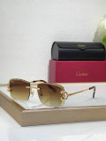 Cartier Sunglasses AAA (1261)