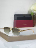Cartier Sunglasses AAA (1203)
