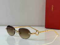 Cartier Sunglasses AAA (5)