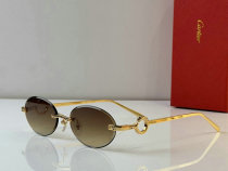 Cartier Sunglasses AAA (5) Cartier Sunglasses AAA (5)