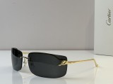 Cartier Sunglasses AAA (2789)
