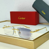 Cartier Sunglasses AAA (1053)