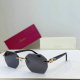 Cartier Sunglasses AAA (176)