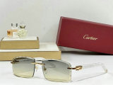 Cartier Sunglasses AAA (1101)