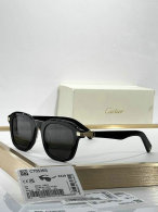 Cartier Sunglasses AAA (136)