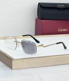 Cartier Sunglasses AAA (1881)