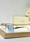 Cartier Sunglasses AAA (1492)