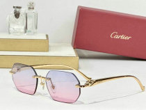 Cartier Sunglasses AAA (1081) Cartier Sunglasses AAA (1081)