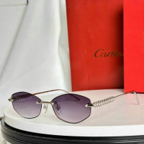 Cartier Sunglasses AAA (1699) Cartier Sunglasses AAA (1699)