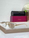 Cartier Sunglasses AAA (1192)