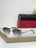Cartier Sunglasses AAA (768)