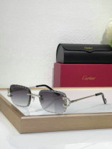 Cartier Sunglasses AAA (768) Cartier Sunglasses AAA (768)