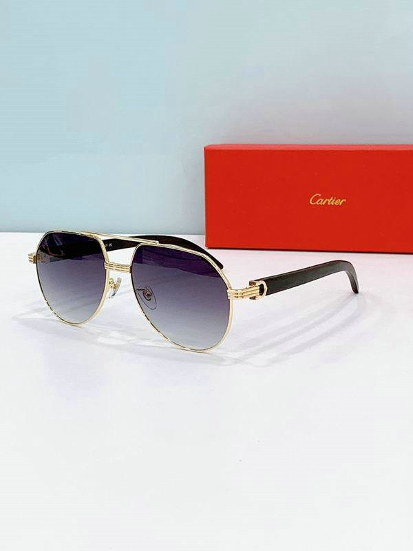 Cartier Sunglasses AAA (418)