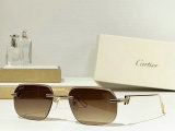 Cartier Sunglasses AAA (684)
