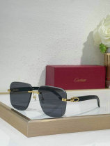 Cartier Sunglasses AAA (634) Cartier Sunglasses AAA (634)