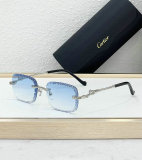 Cartier Sunglasses AAA (621)