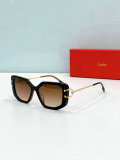 Cartier Sunglasses AAA (1342)